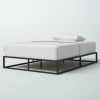 Full size 10-inch Low Profile Modern Metal Wood Slat Platform Bed Frame