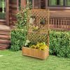 Raised Garden Bed Planter Box with 71-inch High Trellis