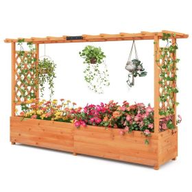 Rectangle Raised Garden Bed with Side Trellis