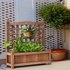 Garden Planter Box with 30-inch High Trellis