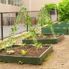 6-ft Steel Outdoor Garden Trellis in White Metal Finish