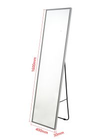 Full Length Mirror with LED Lights