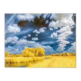 Gold Fields Backdrop Wall Tapestry; 43x59 inch