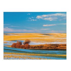 Decorative Grassland Landscape Tapestry; 43x59 inch