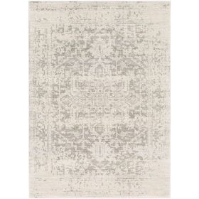 5' x 7' Distressed Oriental Area Rug in Light Grey / Beige