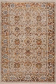 Vintage Bohemian Southwestern Sierra Area Rug (Color: Ivory|Beige, size: 7'9" X 10')